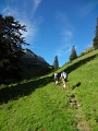 Wanderung Naus Gulms 1836m 14_08_2011 (20)